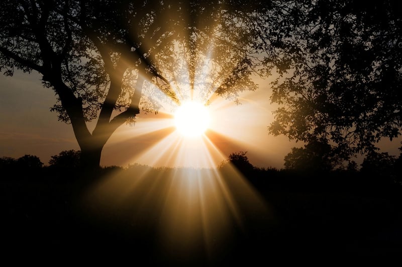 Sunbeam Accessories